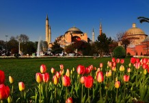 Era Tulip Pada Masa Turki Utsmani Era Tulip Pada Masa Turki Utsmani