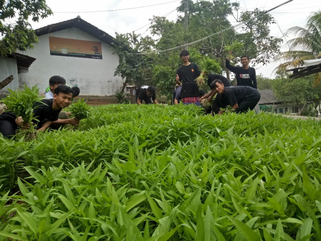 Kegiatan Santri Pasca Ujian Tengah Semester