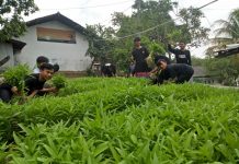 Kegiatan Santri Pasca Ujian Tengah Semester Kegiatan Santri Pasca Ujian Tengah Semester