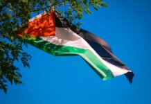 Palestina ; Bukan Sekedar Panggilan Kemanusiaan Semata