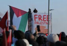 Dukungan terhadap Palestina adalah Bentuk Aktualisasi Iman