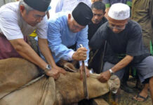 Bacaan Doa dan Dzikir Ketika Menyembelih Hewan Kurban